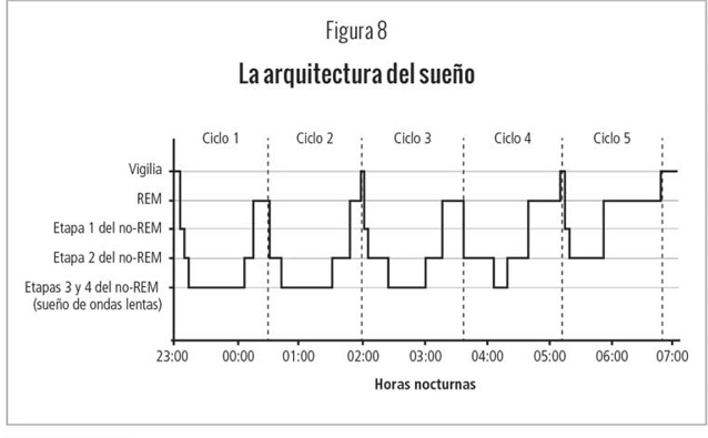 La arquitectura del sueño